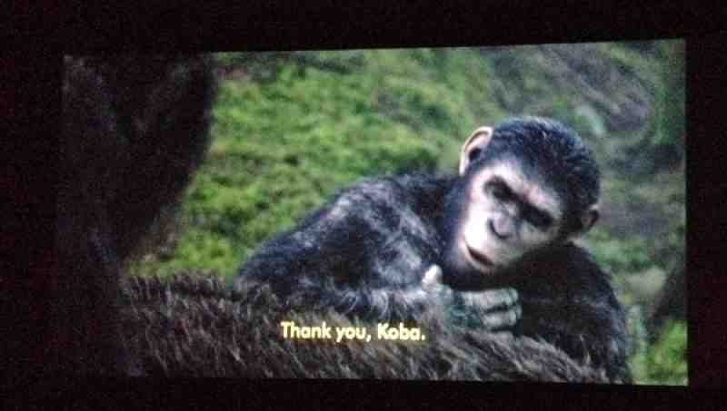 War for the Planet of the Apes 2017 Subtitles