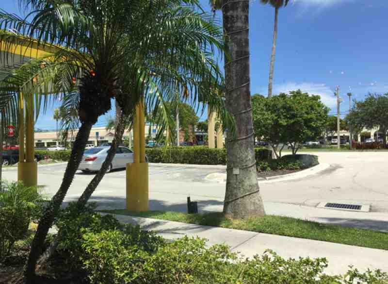 California Pizza Kitchen Palm Tree review of california pizza kitchen 33305 restaurant 2301 n fed California Pizza Kitchen Palm Tree review of california pizza kitchen 33305 restaurant 2301 n fed