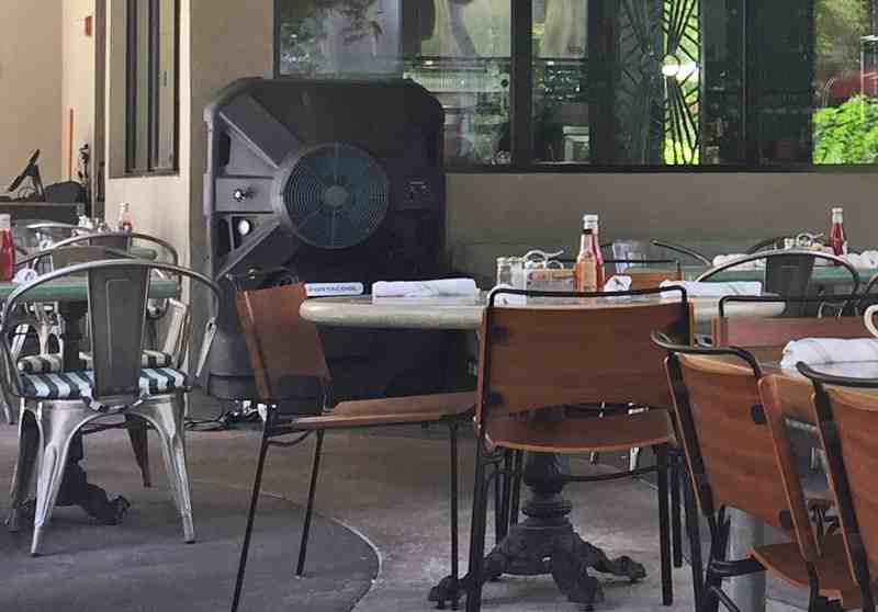 Review Of Java Jam 33301 Restaurant 301 E Las Olas Blvd
