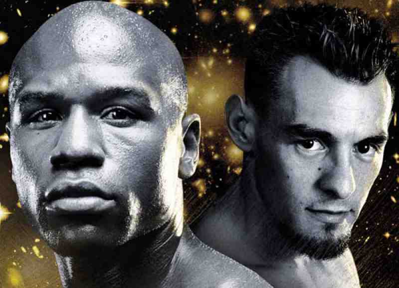 Panera bread cost of bagels