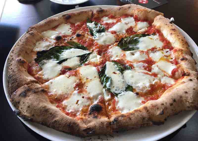 California Tax Calculator >> Review of MidiCi 33301 Restaurant 510 N Federal Hwy California Tax Calculator >> Review of MidiCi 33301 Restaurant 510 N Federal Hwy