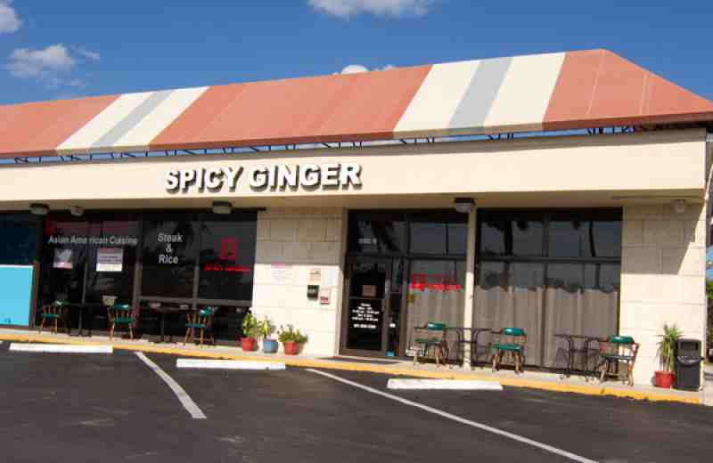 Spicy Ginger