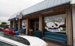 Whale's Rib